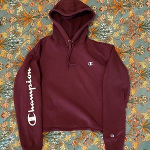 Cropped Champion Hoodie Sweatshirt